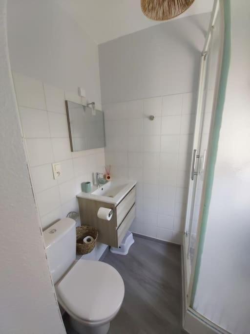 Appartement Le Jungle - Hyper Centre - Wifi Lourdes